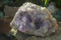 Natural Jacaranda Amethyst Cluster x 1 From Mumbwa, Zambia - TopRock