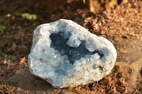 Natural Blue Celestite Geode Specimen With Gemmy Cubic Crystals  x 1 From Sakoany, Madagascar - TopRock