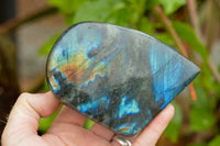 Polished Labradorite Standing Free Forms With Intense Blue & Gold Flash x 3 From Tulear, Madagascar - TopRock