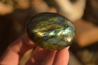 Polished  Flashy Labradorite Palm Stones  x 20 From Tulear, Madagascar