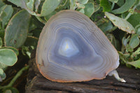 Polished Gorgeous Banded Agate Slices  x 6 From Madagascar - Toprock Gemstones and Minerals 