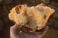 Natural Golden Limonite Quartz Vug Specimen x 1 From Zambia