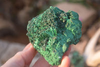 Natural Chatoyant Silky Malachite Specimens  x 7 From Kasompe, Congo