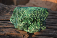 Natural Chatoyant Silky Malachite Specimens  x 7 From Kasompe, Congo