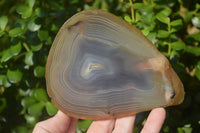 Polished Gorgeous Banded Agate Slices  x 6 From Madagascar - Toprock Gemstones and Minerals 