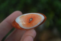 Polished Carnelian Agate Palm Stones  x 12 From Madagascar - Toprock Gemstones and Minerals 