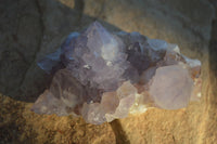 Natural Cactus Flower Amethyst Clusters  x 6 From Boekenhouthoek, South Africa - Toprock Gemstones and Minerals 