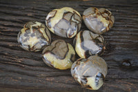 Polished Septaria Hearts x 6 From Mahajanga, Madagascar