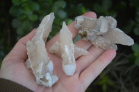 Natural Drusy Quartz Coated Calcite Spearhead Crystal Specimens  x 12 From Alberts Mountain, Lesotho - Toprock Gemstones and Minerals 