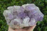 Natural Large Jacaranda Amethyst Vug Specimen  x 1 From Mumbwa, Zambia - Toprock Gemstones and Minerals 