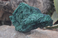 Natural Chatoyant Silky Malachite Specimens  x 3 From Kasompe, Congo