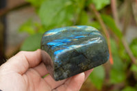 Polished Labradorite Standing Free Forms With Intense Blue & Gold Flash x 3 From Tulear, Madagascar - TopRock