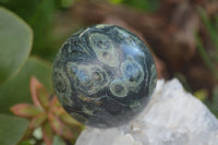 Polished Stromatolite / Kambamba Jasper Spheres  x 3 From Madagascar - TopRock