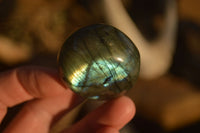 Polished  Flashy Labradorite Palm Stones  x 20 From Tulear, Madagascar