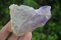 Natural Jacaranda Amethyst Crystal Clusters  x 3 From Mumbwa, Zambia - Toprock Gemstones and Minerals 