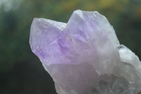 Natural Jacaranda Amethyst Clusters  x 3 From Zambia - Toprock Gemstones and Minerals 