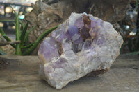 Natural Jacaranda Amethyst Cluster x 1 From Mumbwa, Zambia - TopRock