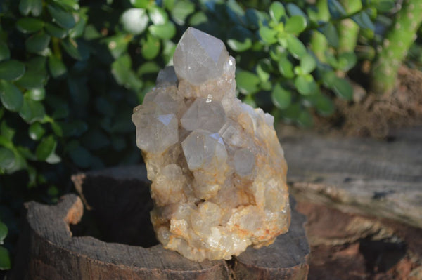 Natural Cascading White Phantom Smokey Quartz Clusters  x 3 From Luena, Congo - Toprock Gemstones and Minerals 