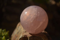 Polished  Star Rose Quartz Spheres x 3 From Ambatondrazaka, Madagascar - TopRock