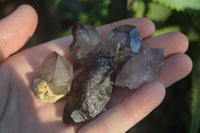 Natural Smokey Amethyst Window Quartz Crystals  x 20 From Chiredzi, Zimbabwe - Toprock Gemstones and Minerals 