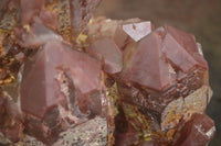 Natural Large Red Hematoid Phantom Quartz Cluster  x 1 From Karoi, Zimbabwe - TopRock