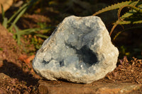 Natural Blue Celestite Geode Specimen With Gemmy Cubic Crystals  x 1 From Sakoany, Madagascar - TopRock