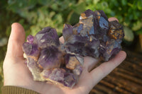 Natural Dark Purple Amethyst Crystal Clusters  x 6 From Zambia - Toprock Gemstones and Minerals 