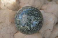 Polished Stromatolite / Kambamba Jasper Spheres  x 3 From Madagascar - TopRock