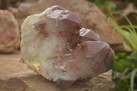 Natural Large Red Hematoid Phantom Quartz Cluster  x 1 From Karoi, Zimbabwe - TopRock