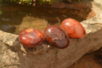 Polished Mini Carnelian Agate Palm Stones  x 35 From Madagascar - TopRock