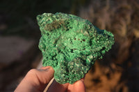 Natural Chatoyant Silky Malachite Specimens  x 7 From Kasompe, Congo