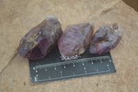 Natural New Window Amethyst Crystals  x 12 From KZN, South Africa - Toprock Gemstones and Minerals 