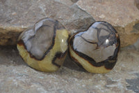 Polished Septaria Hearts x 6 From Mahajanga, Madagascar