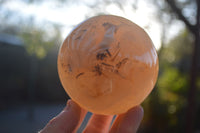 Polished Highly Selected Agate Spheres  x 2 From Madagascar