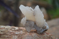 Natural Drusy Quartz Coated Calcite Spearhead Crystal Specimens  x 12 From Alberts Mountain, Lesotho - Toprock Gemstones and Minerals 