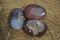 Polished River Agate Palm Stones  x 16 From Sashe River, Zimbabwe