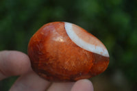 Polished Carnelian Agate Palm Stones  x 12 From Madagascar - Toprock Gemstones and Minerals 