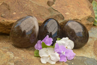 Polished Large Morion Smokey Quartz Eggs x 4 From Madagascar - TopRock