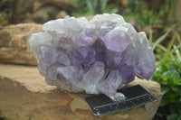 Natural Large Jacaranda Amethyst Vug Specimen  x 1 From Mumbwa, Zambia - Toprock Gemstones and Minerals 