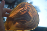 Polished Gorgeous Banded Agate Slices  x 6 From Madagascar - Toprock Gemstones and Minerals 