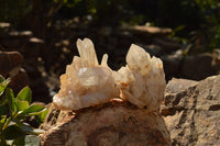 Natural Mixed Selection Of Quartz Specimens  x 6 From Madagascar - TopRock