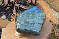 Polished Blue Labradorite Standing Free Form x 1 From Tulear, Madagascar - TopRock