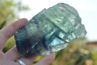 Polished One Side Polished Watermelon Fluorite Specimens  x 6 From Uis, Namibia - TopRock