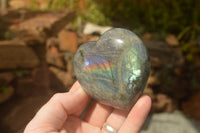 Polished Purple Flash Labradorite Hearts x 6 From Tulear, Madagascar - TopRock