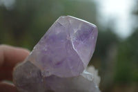 Natural Jacaranda Amethyst Crystal Clusters  x 3 From Mumbwa, Zambia - Toprock Gemstones and Minerals 