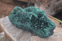 Natural Chatoyant Silky Malachite Specimens  x 3 From Kasompe, Congo