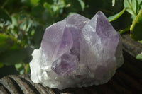 Natural Jacaranda Amethyst Clusters  x 3 From Mumbwa, Zambia - Toprock Gemstones and Minerals 