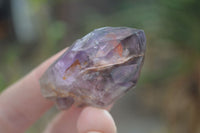 Natural New Window Amethyst Crystals  x 12 From KZN, South Africa - Toprock Gemstones and Minerals 