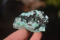 Natural Drusy Coated Chrysocolla & Malachite Dolomite Specimens x 6 From Congo