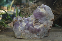 Natural Jacaranda Amethyst Cluster x 1 From Mumbwa, Zambia - TopRock